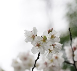 6CDAB4D0-2F3F-4C7B-9602-B0237D3D469C/L0/001
