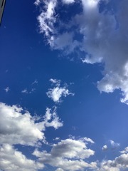 71C6A19C-D50A-43B2-8AB0-D56F996E1244/L0/001