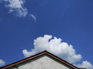 101