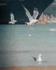 EB8AAA00-CE9C-450E-97EC-0BD803153639/L0/001