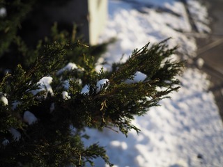 P2030029