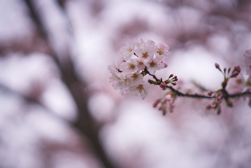E2C3F79D-8309-4E62-80A1-52E86B9B7329/L0/001