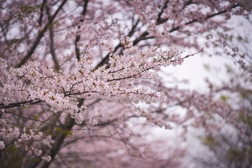 1153A141-F183-407E-9549-6F8882285FA1/L0/001