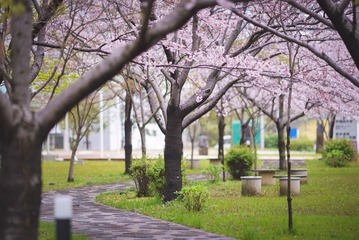 B82EEB3E-8C5F-4D02-8282-264A3FA50497/L0/001