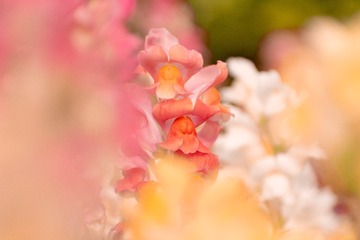 91FD3871-7A51-482C-B829-8F79A345D325/L0/001