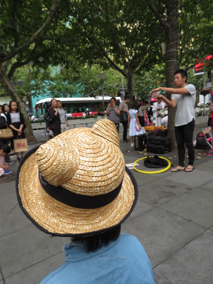 译作镜缘录城市