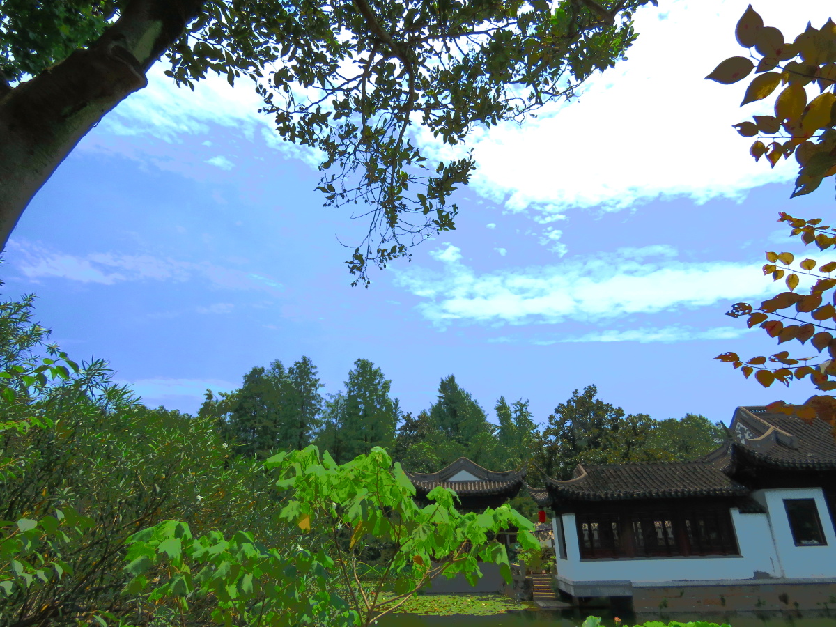 跟拍自然布列松陈