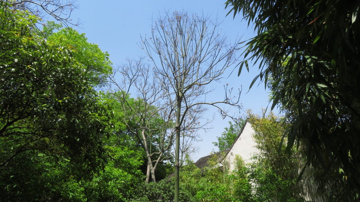 视界- 布列松陈 - 图虫