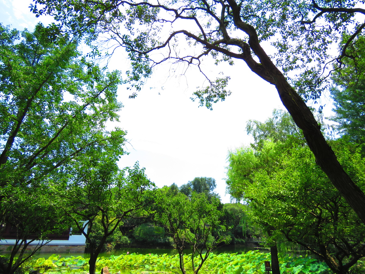 跟拍自然布列松陈