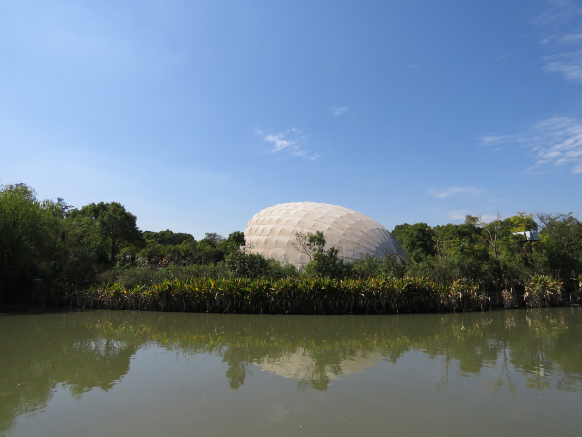 跟拍自然布列松陈