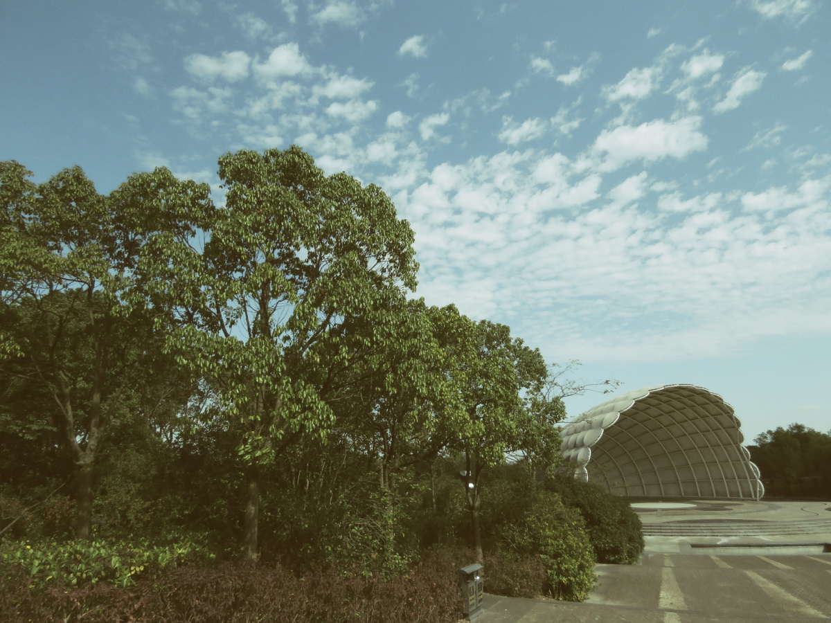 中国花园布列松陈-跟拍自然