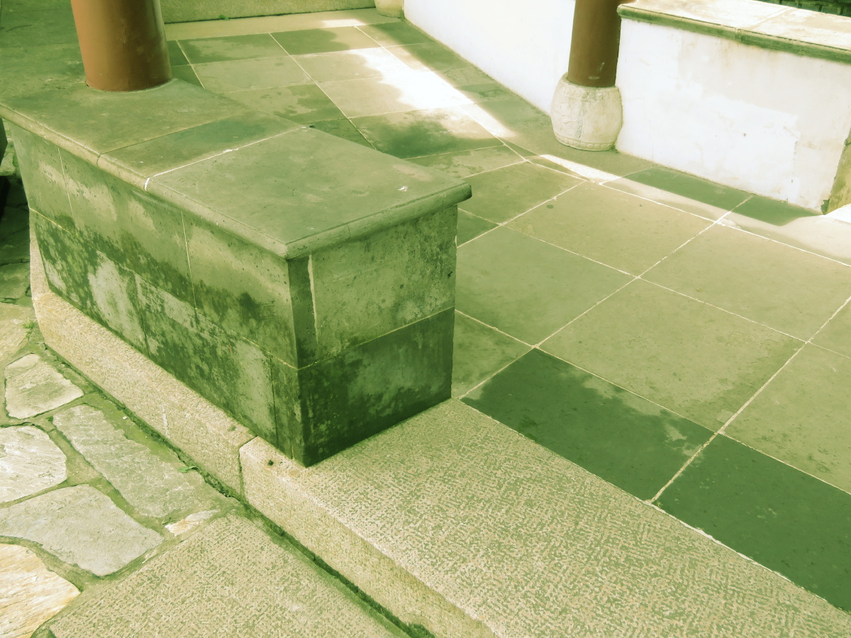 沪语兜园林城市拍摄地布列松陈的鸟集