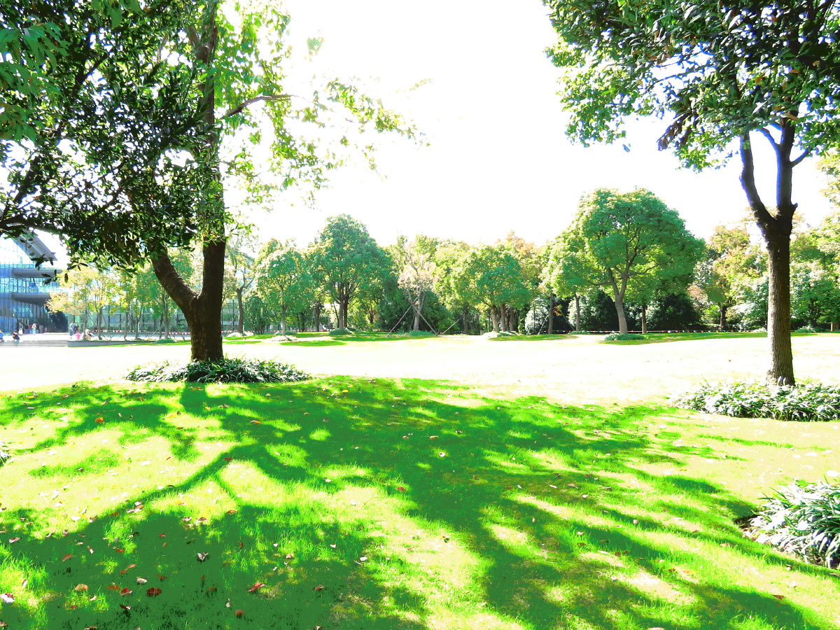 跟拍自然布列松陈