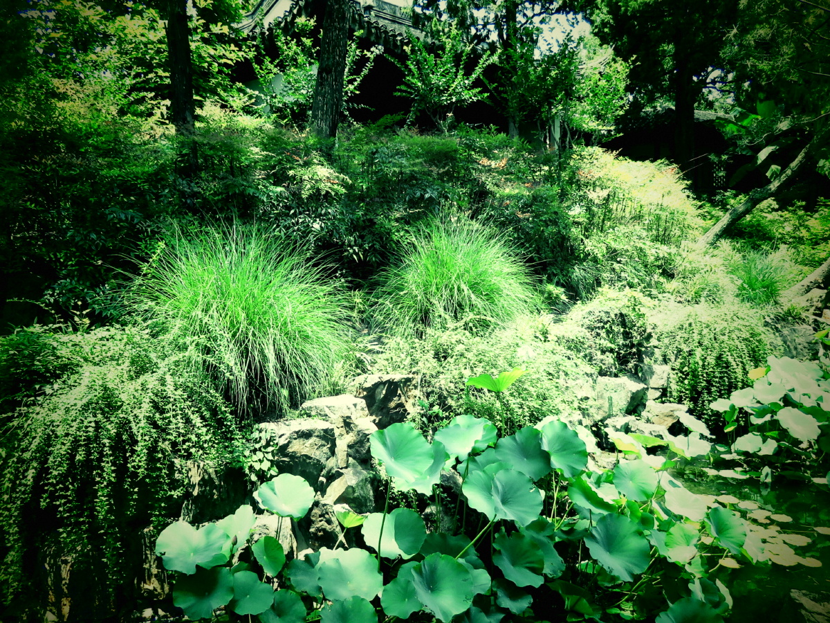 跟拍自然布列松陈