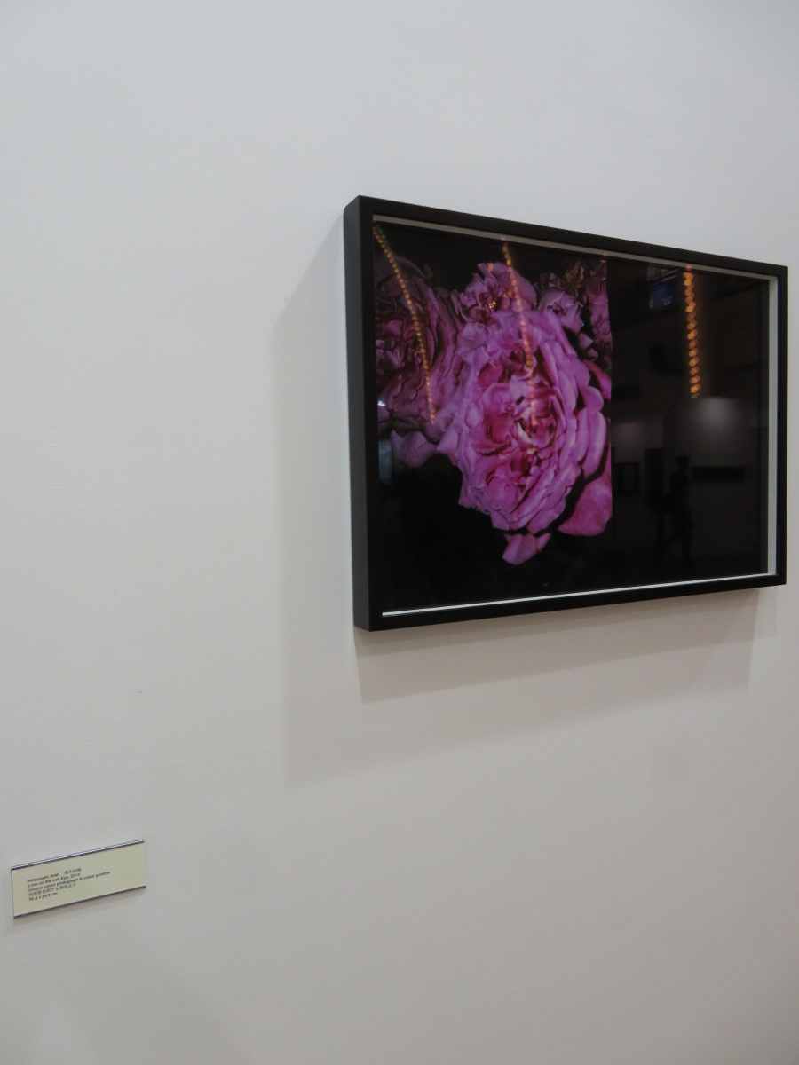 镜屏40年-摸相机留影-我进了时间之门