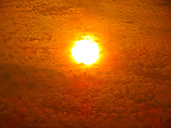 翻译生活布列松陈