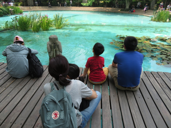 翻译生活布列松陈