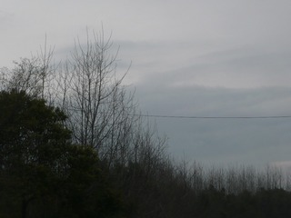 C000003