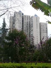 C000011