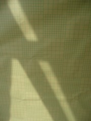 C000013