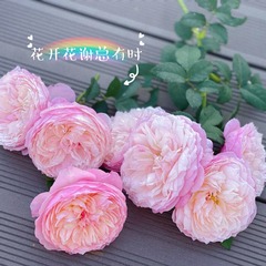 55C02DF3-0F36-4A77-AC1C-54281EBC1CA3/L0/001