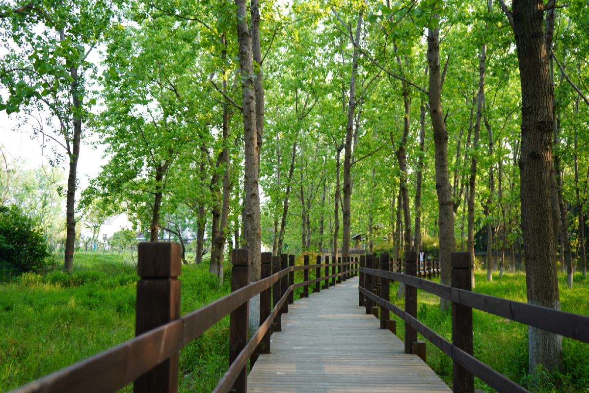 呼吸森林苏州一个安静的地方