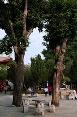 6C0D124A-AB91-4F9F-B121-956188ED03C3/L0/001