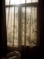 9AB2C7B7-9EA8-42E2-A6FE-92C32D4534BA/L0/001