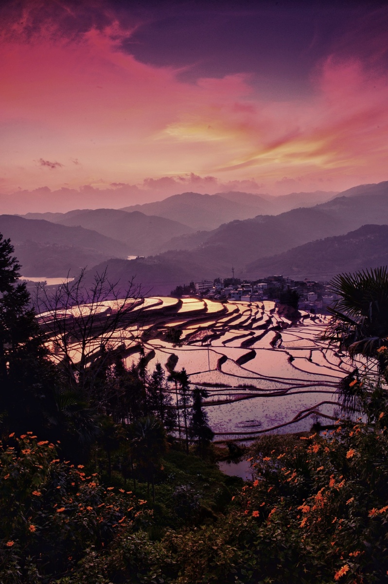 元阳梯田日落