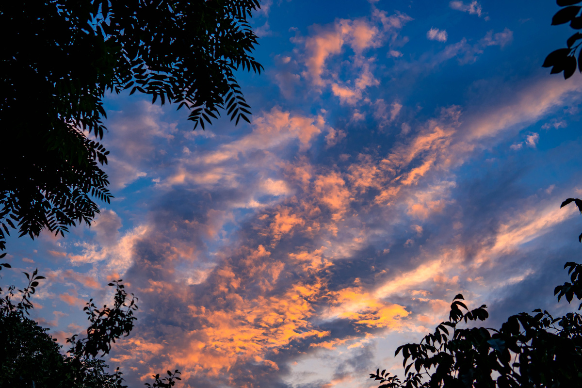 随拍听说晚晴十八天