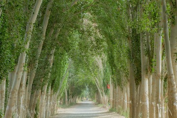 IMG_5838-编辑-编辑