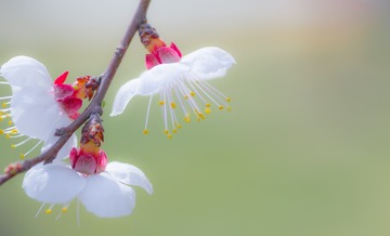 IMG_8298-编辑