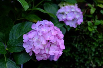 A9E1E93B-909B-43D5-B297-2967BBA6CE3E/L0/001