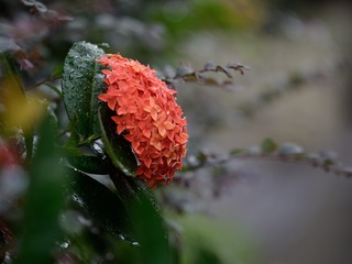 052