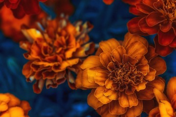 CB8923BE-A5D5-40C1-A29D-4C3DB4000EFA/L0/001