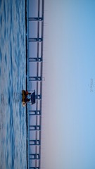 AB7B0405-D696-445F-B55A-FA1B4B47D987/L0/001