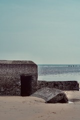6E5AE489-B5F1-4EFC-957F-AA277C99C71E/L0/001