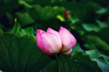 001