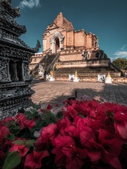 生花