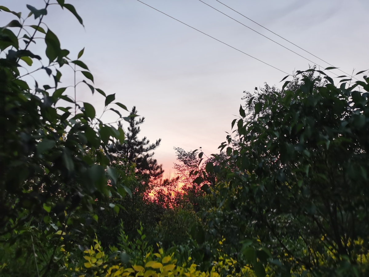 血染苍天印彩霞