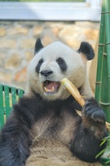 4015