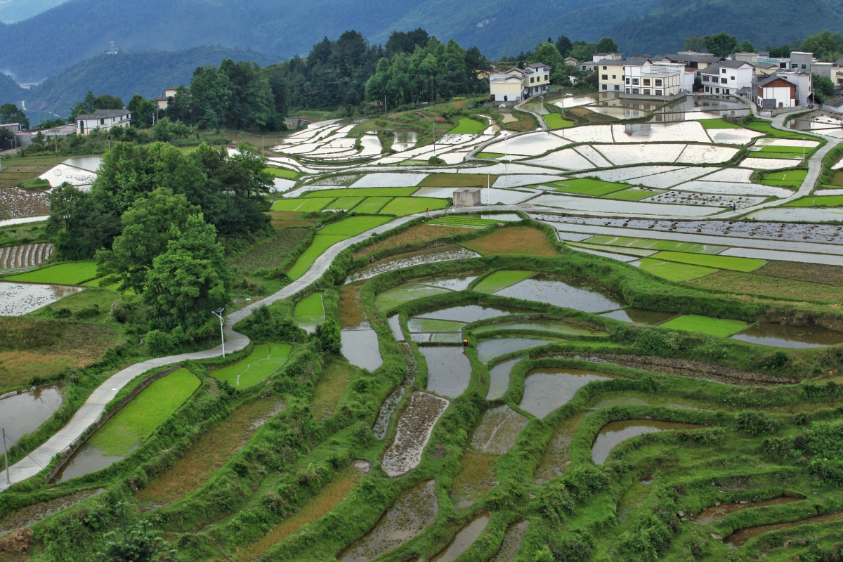 高山新农村风貌