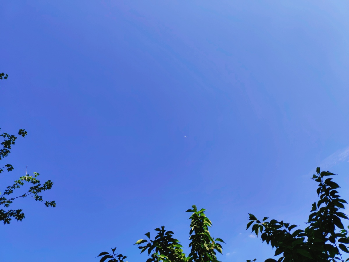 庄儿里一抹蓝久违的好天气