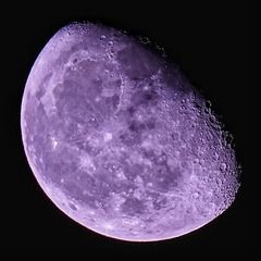 709912
