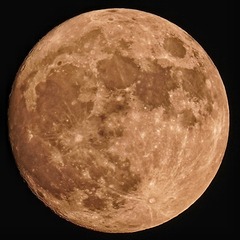 729725
