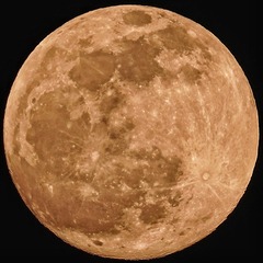 748287
