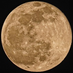 748619