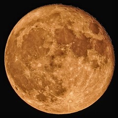 708741