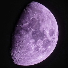728168