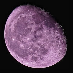 709766